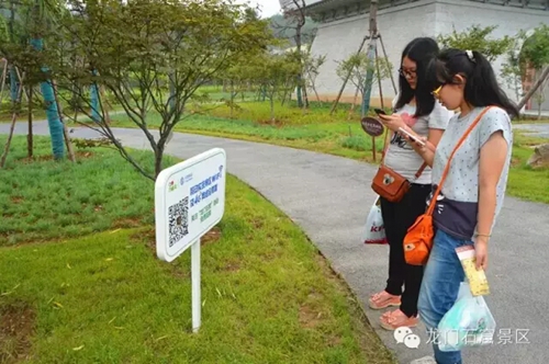 Visitors enjoy smart 'Internet Plus' tourism in Longmen Grottoes