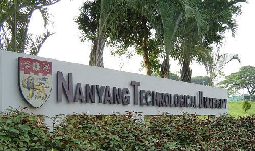 Social undertaking in Nanyang