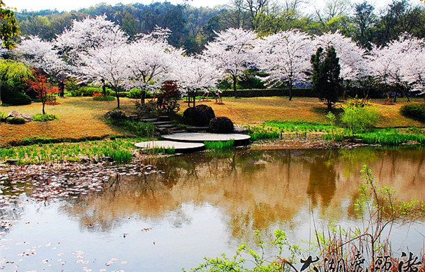 Wuxi's Turtle Head Isle Scenic Area celebrates its centennial