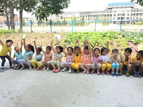 NE China kindergarten does its teaching in a pastoral way