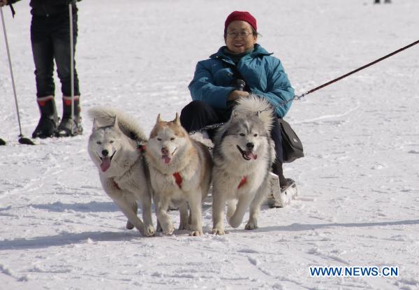 Let's have fun in ice and snow world!