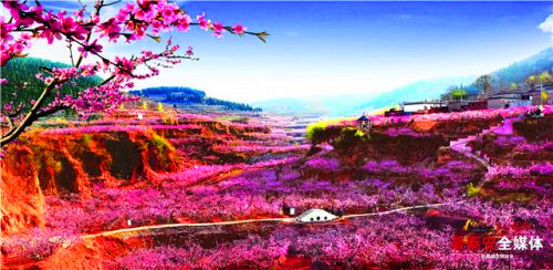 Annual peach blossom festival to unveil in Tai'an