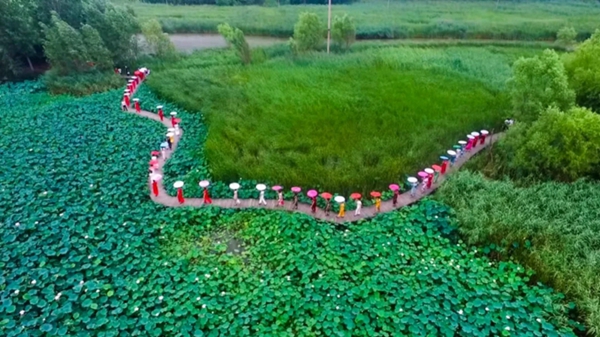 Qipao show adds color to Taierzhuang wetland park