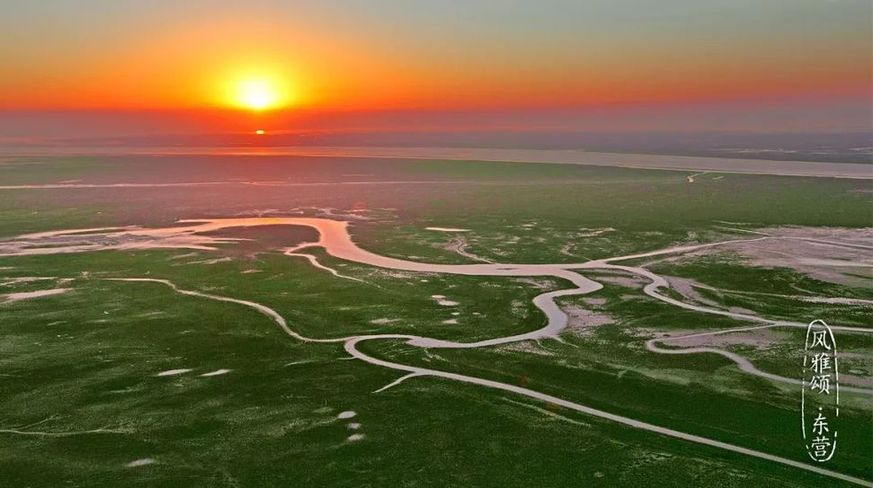 Beauty of the Yellow River Estuary Ecotourism Area