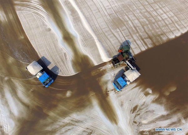 Saltworks enter harvest season in Shandong