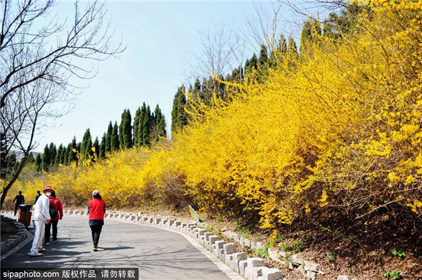 Over 500 tourist attractions reopen in Shandong as epidemic wanes