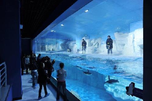 Polar Ocean Park to open to public in China's Tianjin