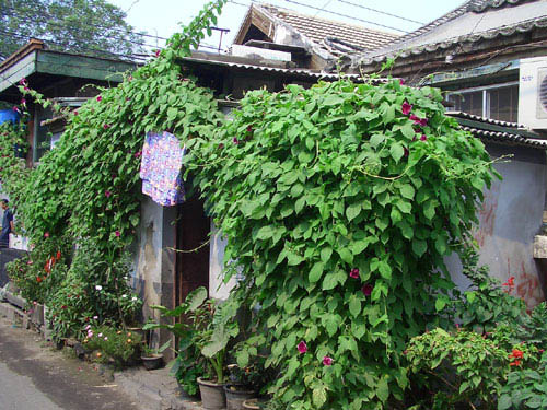 Dashila Street in Beijing