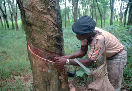 Scenes from Liberia