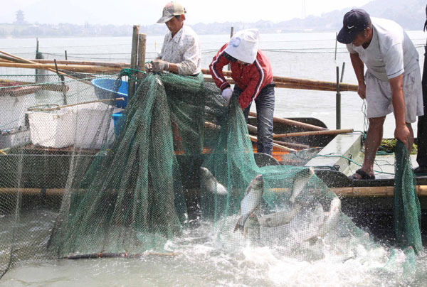 Taihu reopens to fishing after long closure