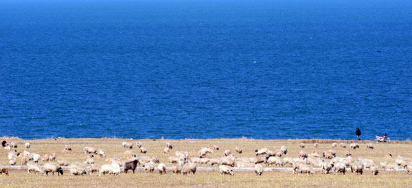 China's largest lake expands its charm