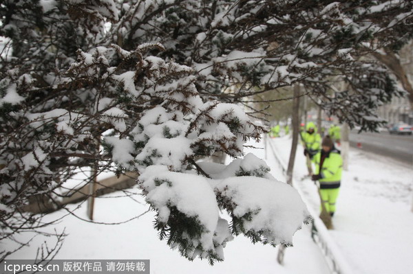 Blizzard batters traffic in NE China