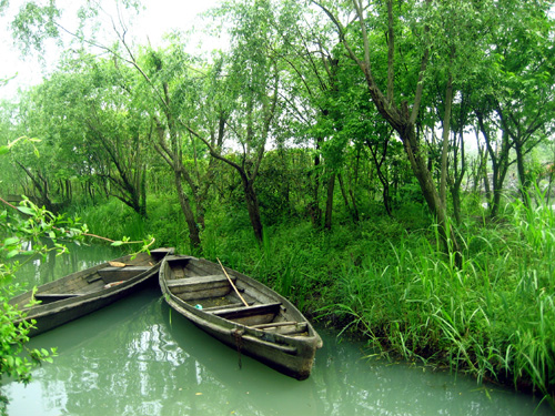 Xixi Wetland in Hangzhou