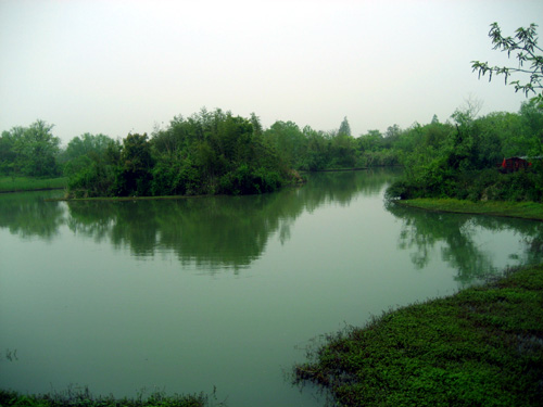 Xixi Wetland in Hangzhou