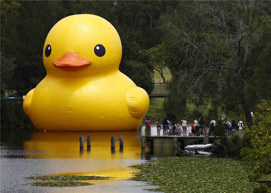 Giant rubber duck sparks Sydney Festival