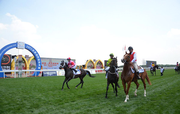 Brazilian jockey wins big in Chengdu Dubai International Cup