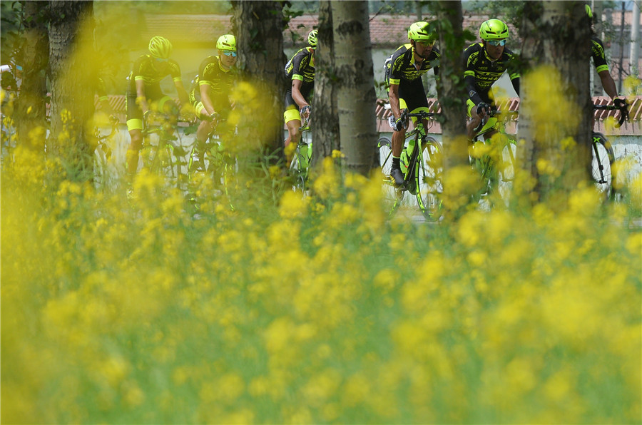 Tour of Qinghai Lake: Italian cyclist pedals to victory in stage 2