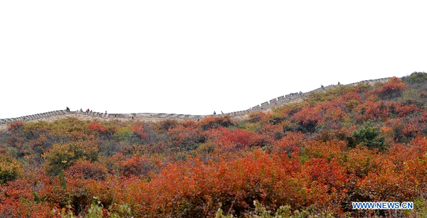 Great Wall surrounded by red leaves