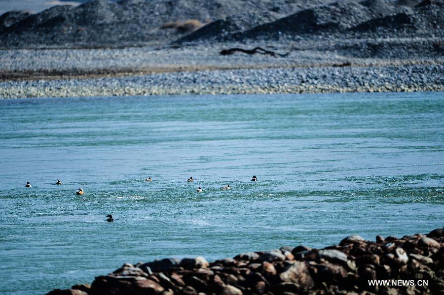 Beautiful winter scenery of Yellow River in NW China