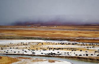 Amazing scenery of Yalu Zangbu Giant Canyon in Tibet