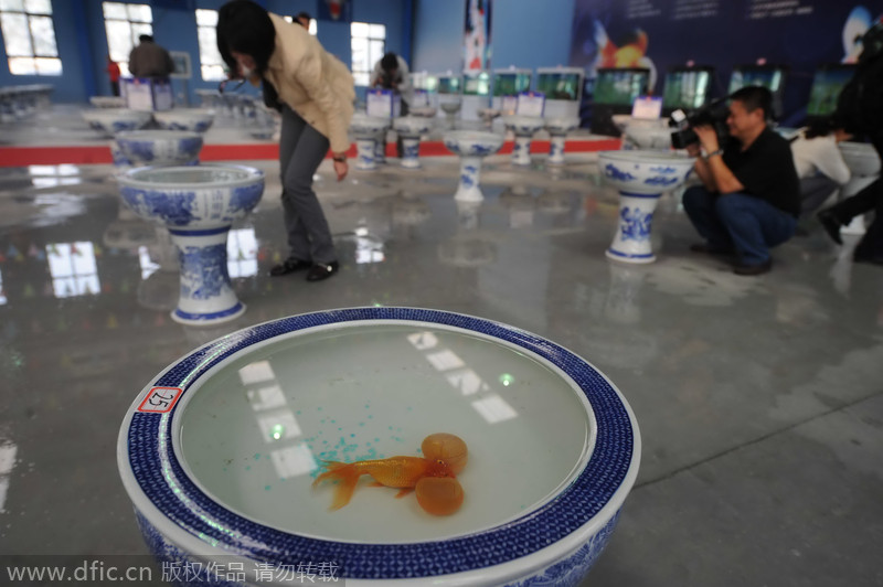 Beijing's 10 strangest museums