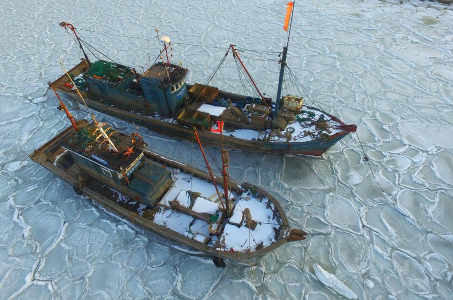 Sea ice appears around Yantai sea area