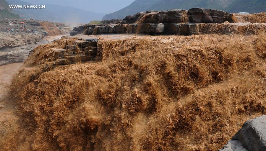 Water volume at Hukou Waterfall surges, attracting lots of tourists