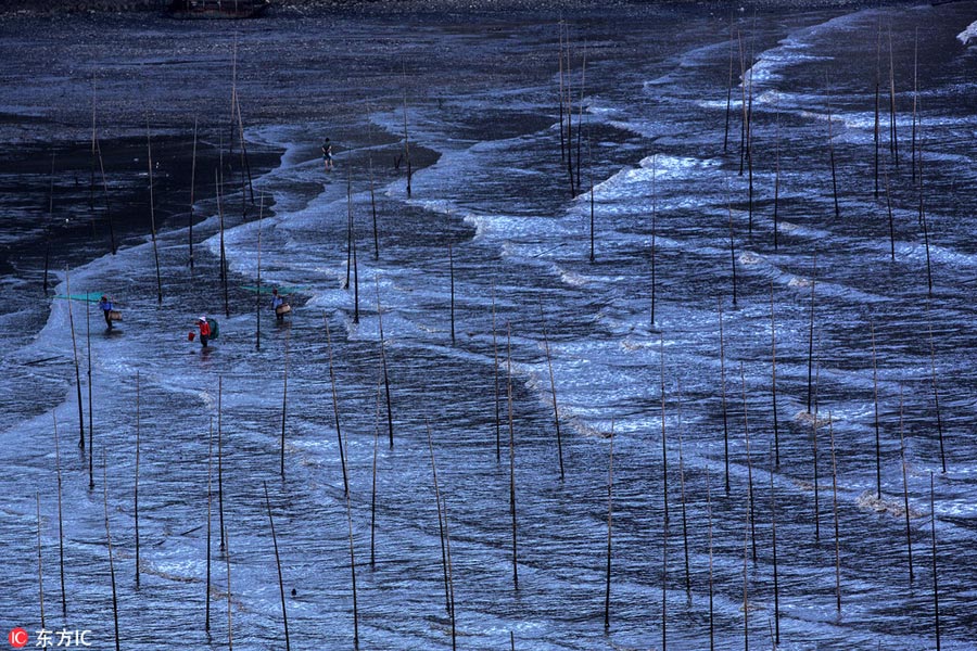 Xiapu, China's Fujian: Paradise for photographers