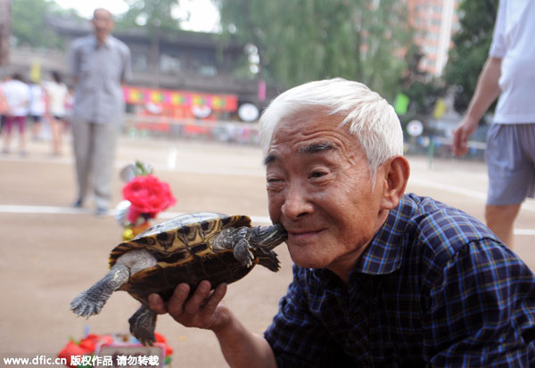 Walking a turtle in the park