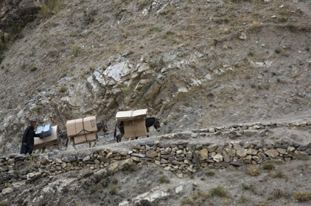 Afghans use donkeys to carry election ballot boxes