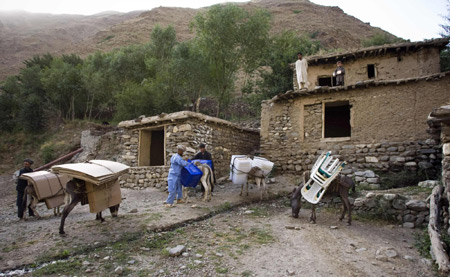 Afghans use donkeys to carry election ballot boxes