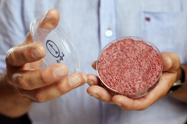 Would you eat a stem cell burger?