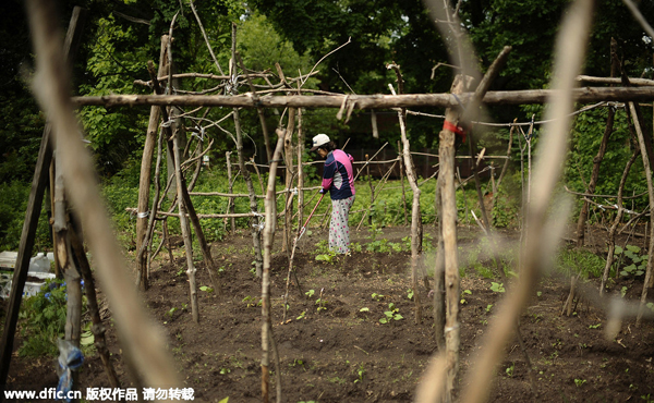 Chinese families of Yale students grow a garden, tradition