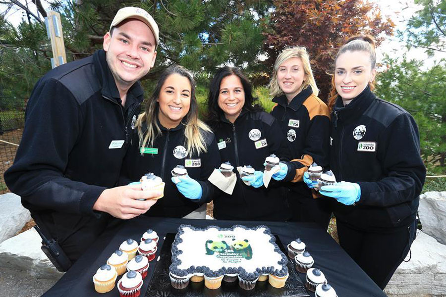 Birthday celebration held for giant panda cubs at Toronto Zoo