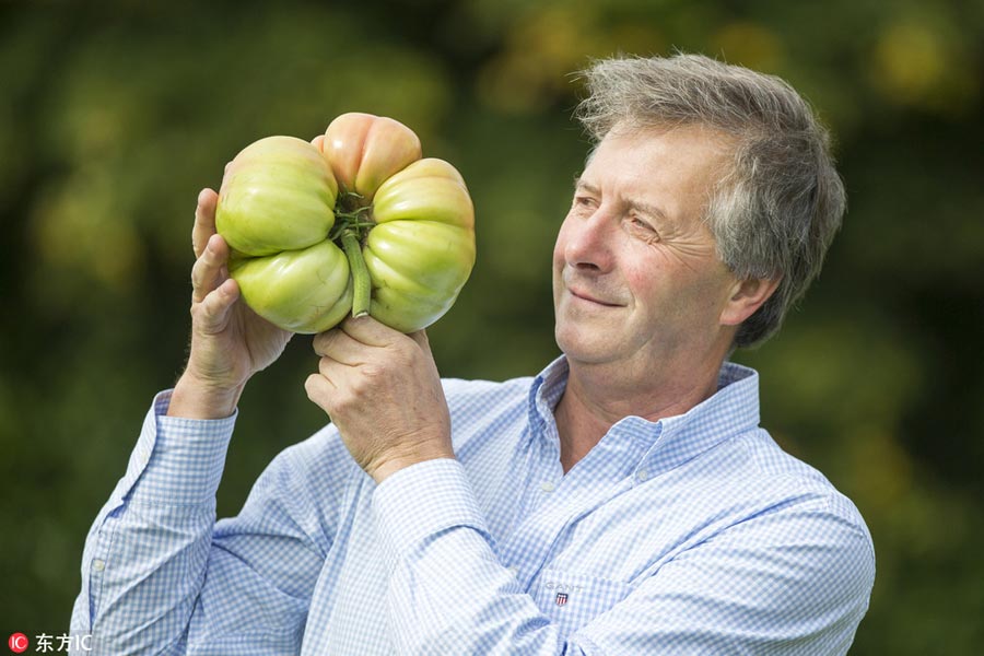 Giant vegetables win their prizes at Harrogate Autumn Flower Show